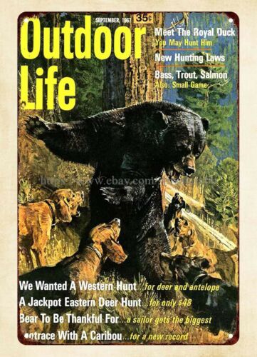 Hunting Dog Outdoor - Декор для офиса, металлическая табличка с
